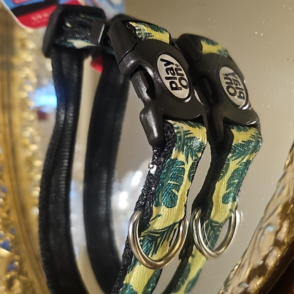 Play On DOG COLLAR 🐕 - Picture 4 of 16